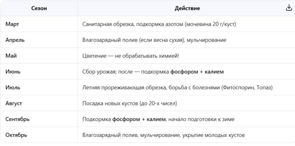 Итоговая стратегия ухода за крыжовником: календарь без ошибок