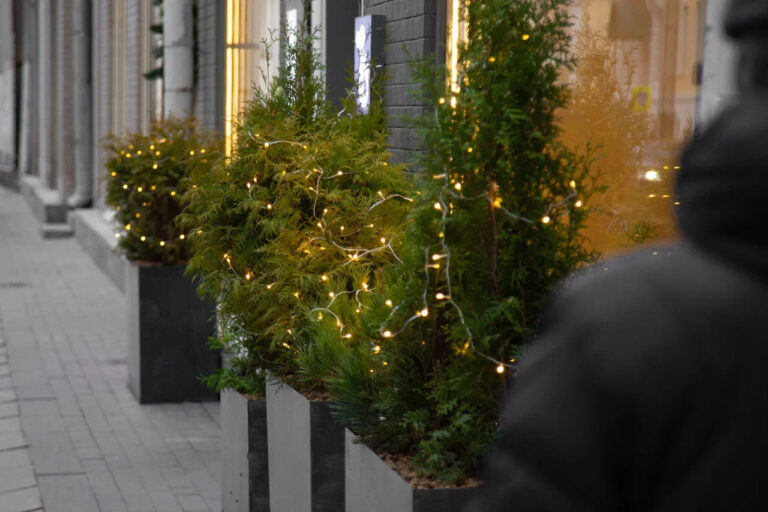    Фото: Общественная Служба Новостей Ольга Шмырева