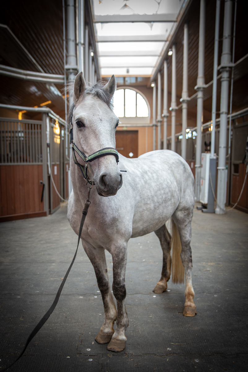 Фото: ГМЗ «Царское Село», Екатерина Новак