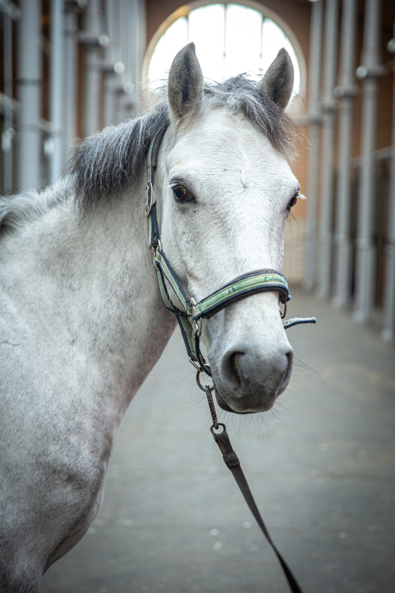 Фото: ГМЗ «Царское Село», Екатерина Новак