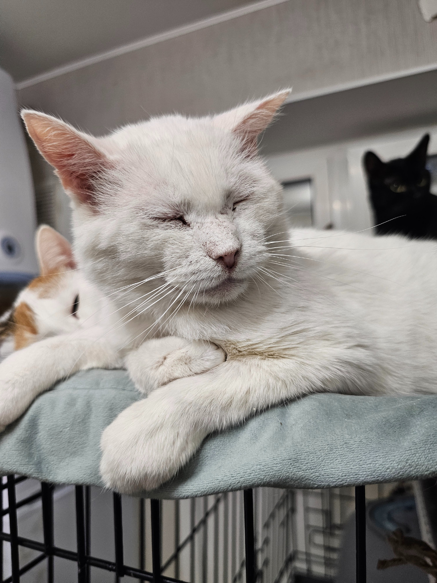 Фото автора. Мих Михач оооооочень нужна финансовая поддержка на анализы и лечение.