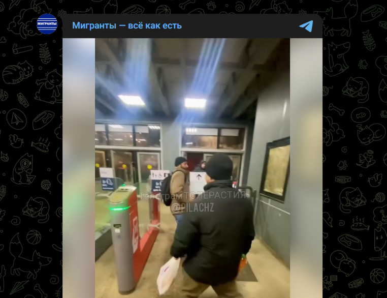 Фото: Telegram-канал "Мигранты - всё как есть"