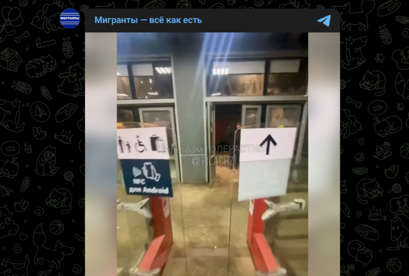 Фото: Telegram-канал "Мигранты - всё как есть"