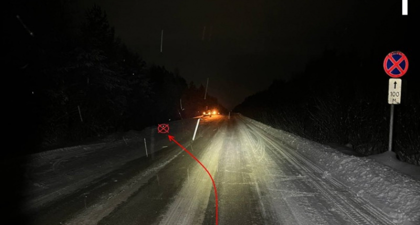    Фото ГАИ Коми