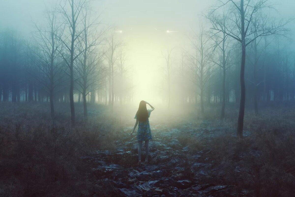 © Getty Images / gremlin