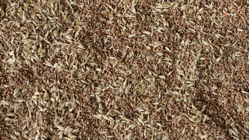      Фото: ИА «Победа26»