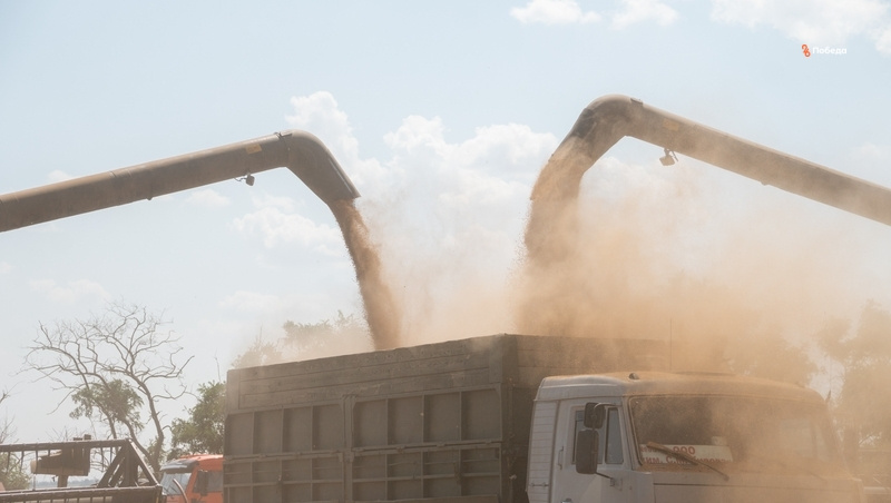    Сельхозпроизводителей поддерживает правительство региона Фото: ИА «Победа26»