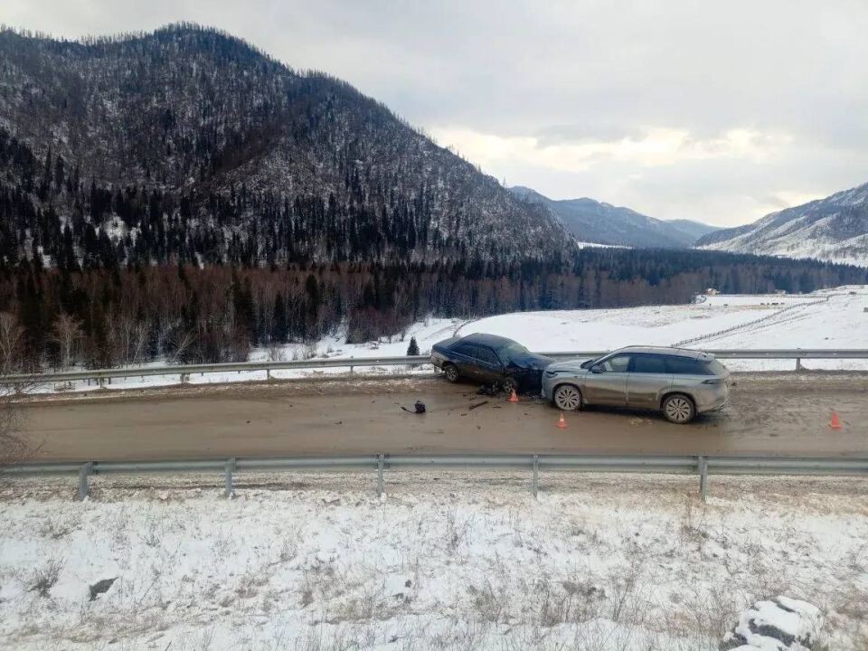    ДТП с 74-летней пострадавшей у села Купчегень. Источник: МВД по Республике Алтай