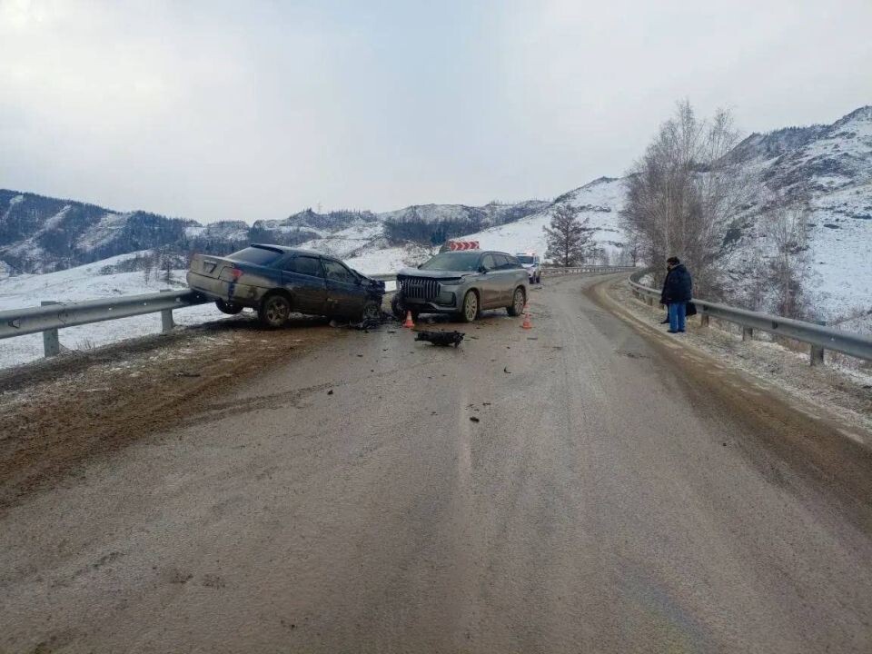    ДТП с 74-летней пострадавшей у села Купчегень. Источник: МВД по Республике Алтай