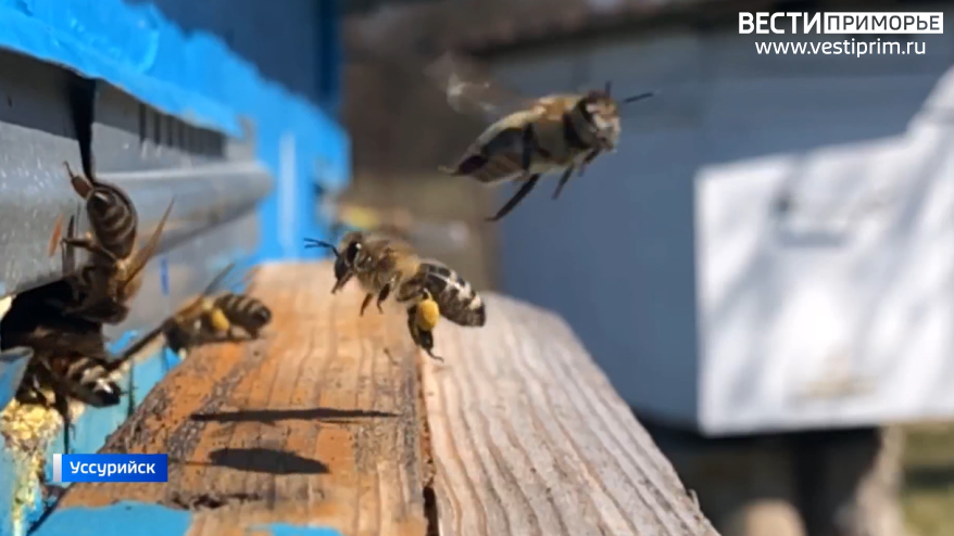    Источник фото: