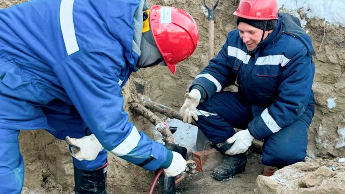     Источник: Россети-Новосибирск