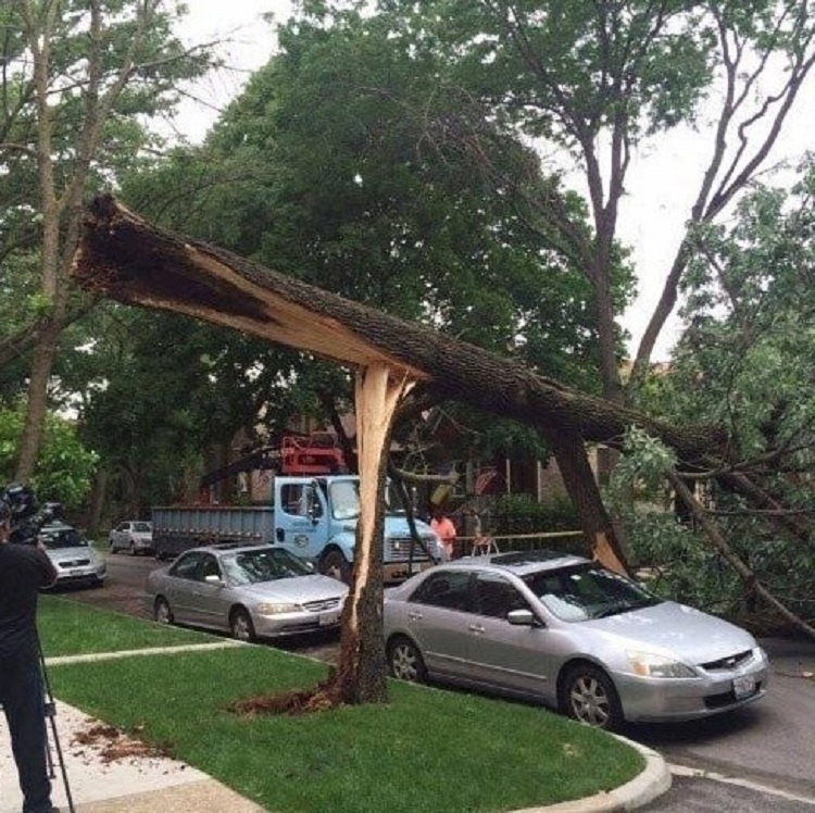 18 примеров невероятного везения, где судьба явно была на их стороне