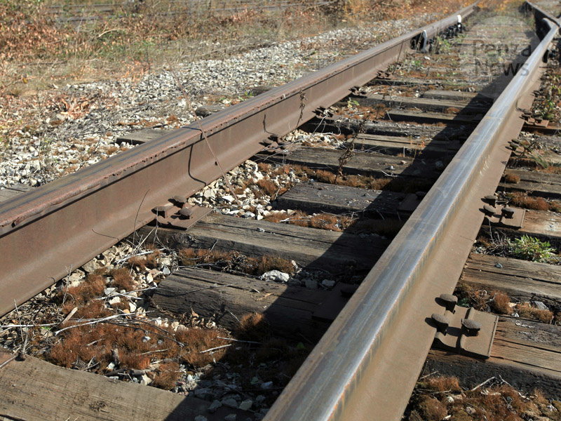    © Фото из архива ИА «PenzaNews»