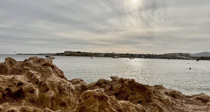    Первый городской канал Калининград