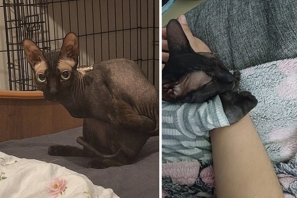    Фото: из личного архива Натальи Зумаревой