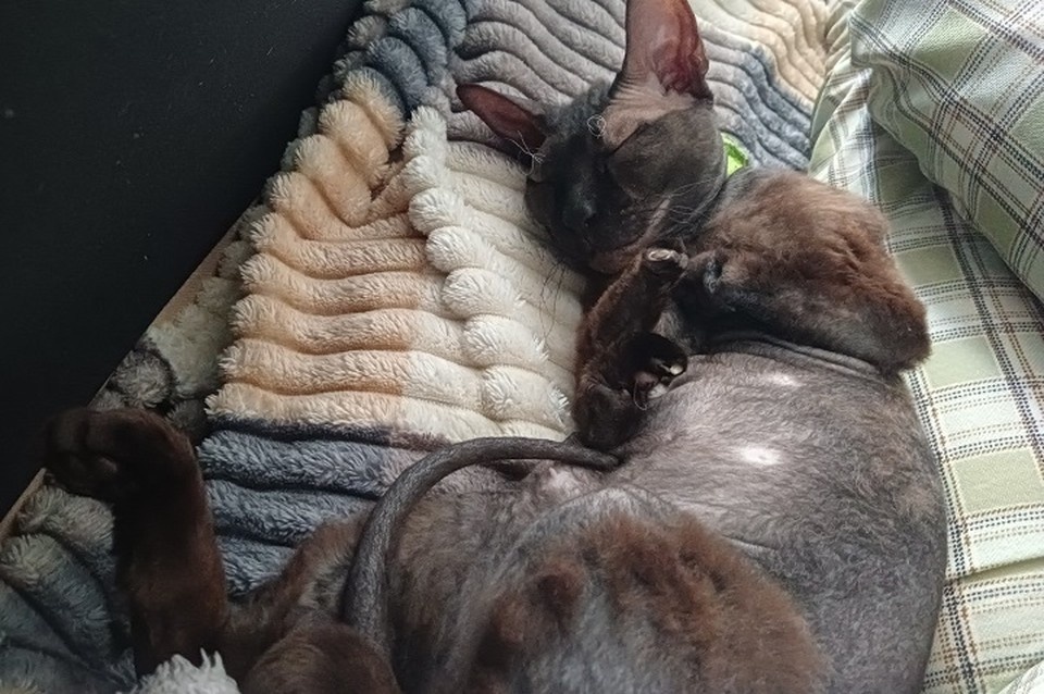    Фото: из личного архива Натальи Зумаревой