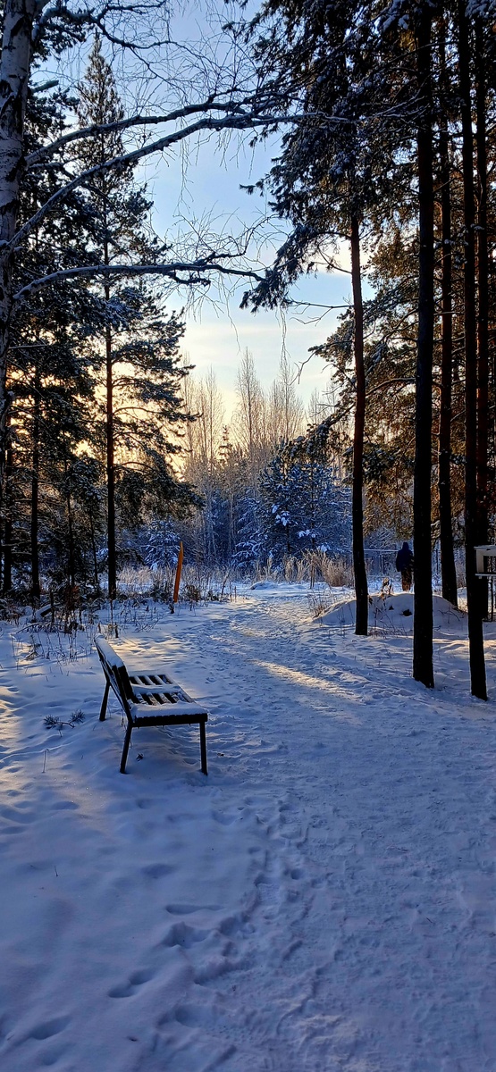 "Доброе утро, мир! Ты прекрасен!" Фото автора
