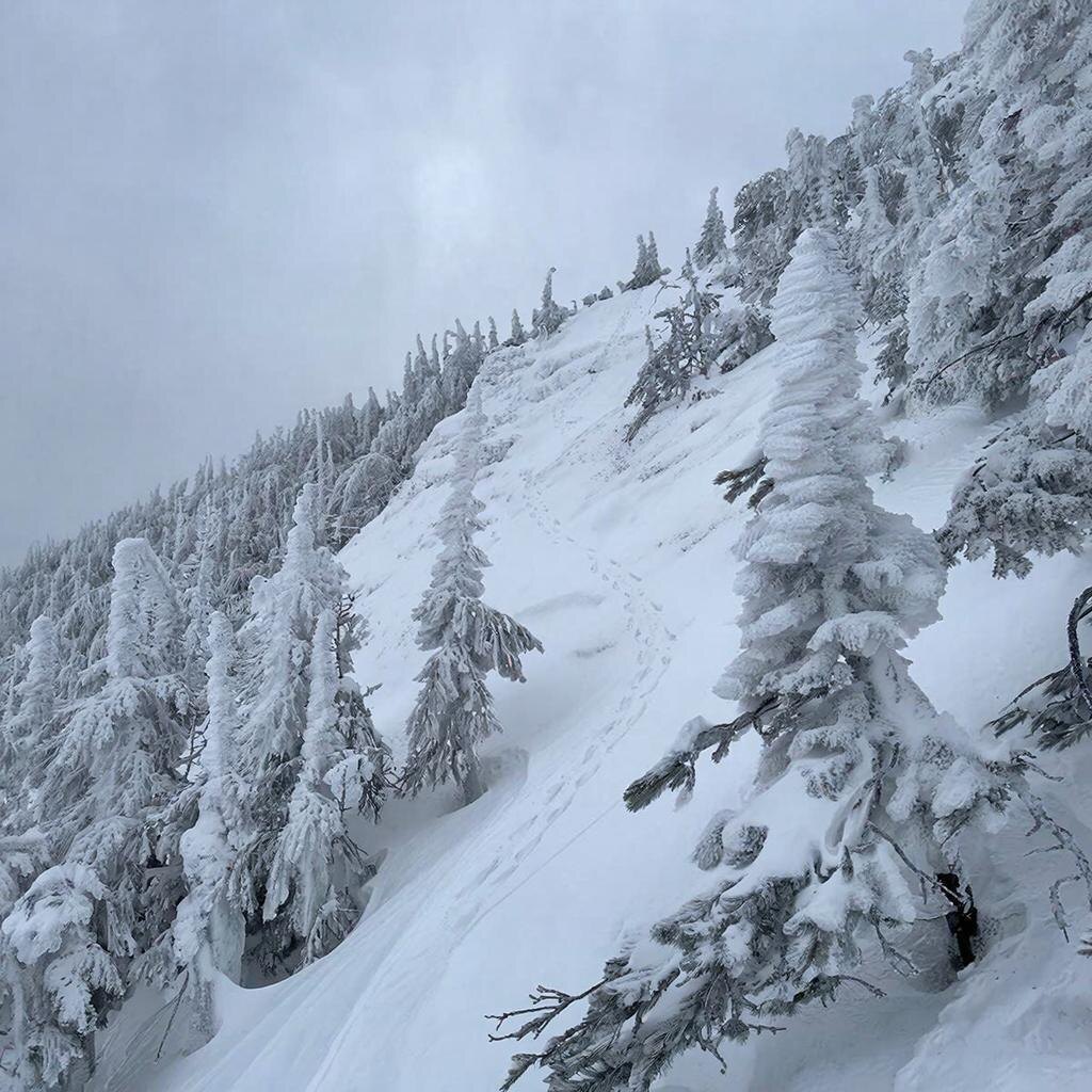 Изображение сгенерировано GigaChat 