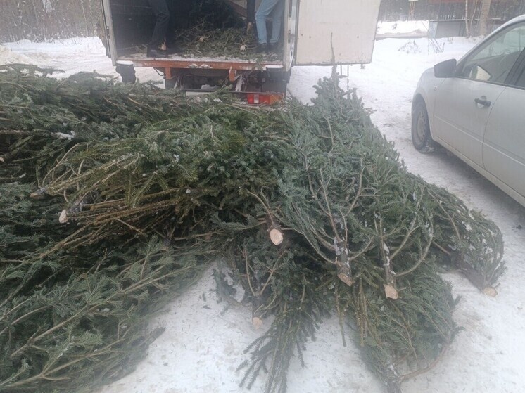     фото: администрация Томской области