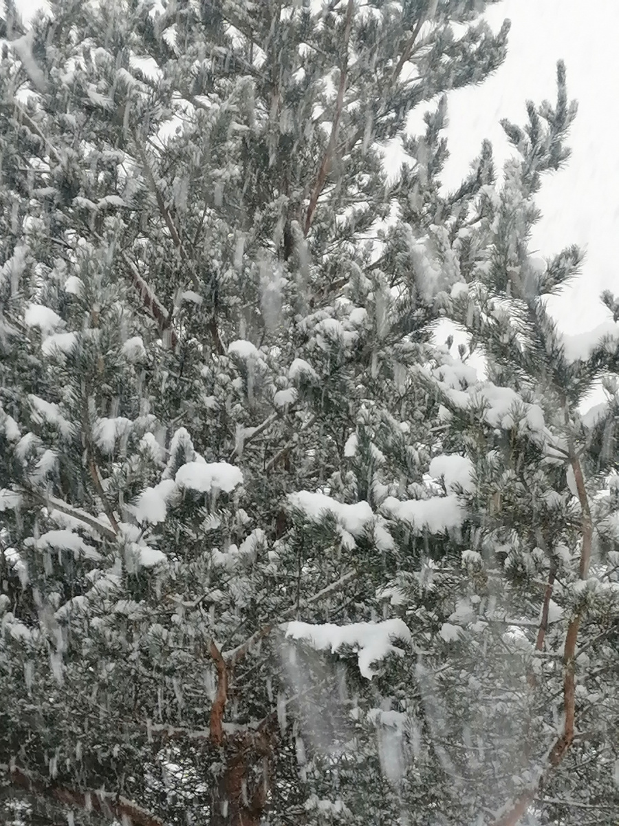 Тем временем, пришла зима. 