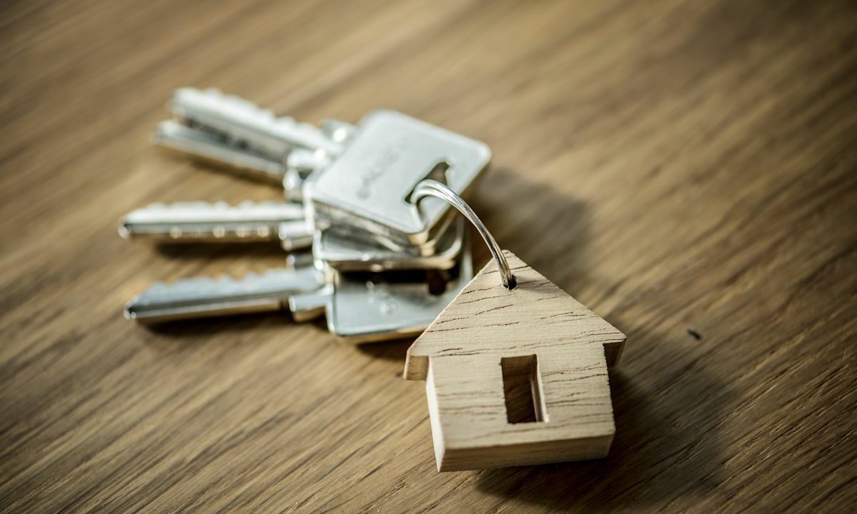    Фото freepik.com