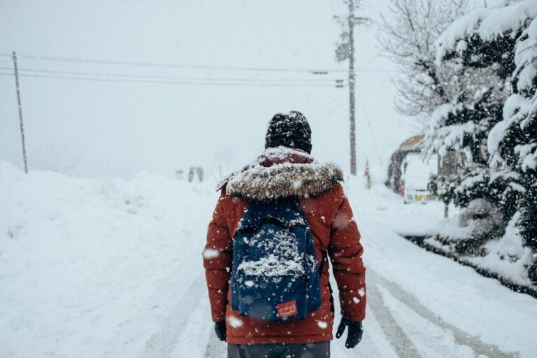    Фото: unsplash.com/Farrel Nobel Илья Федоров