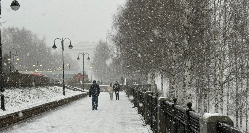    Фото progorod43.ru