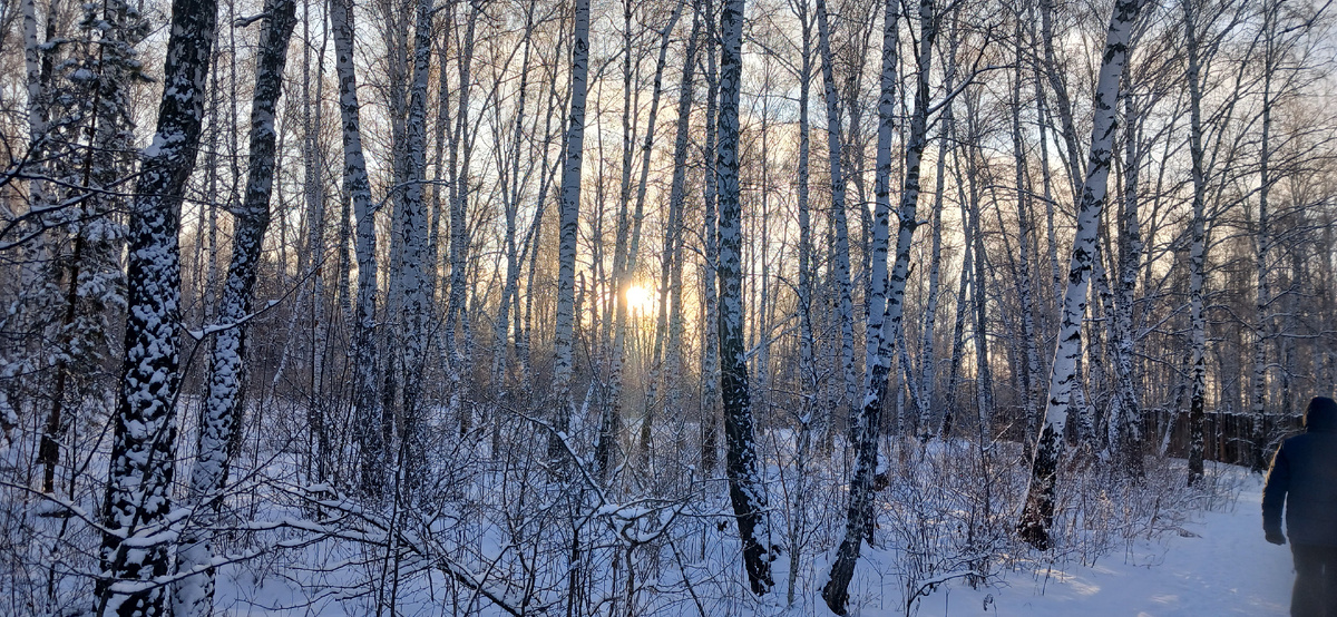 "Доброе утро, мир! Ты прекрасен!" Фото автора