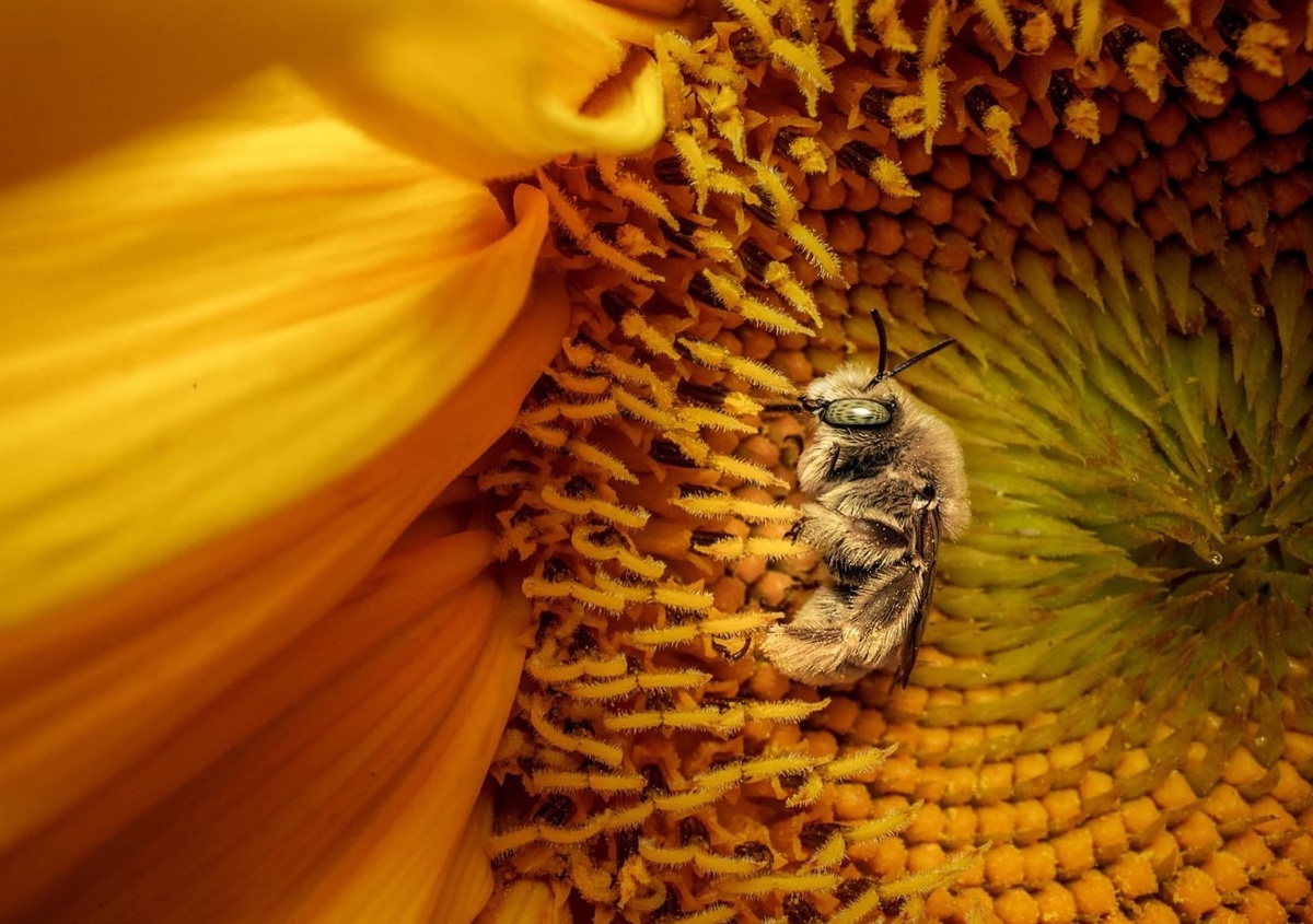 Karine Aigner / National Geographic