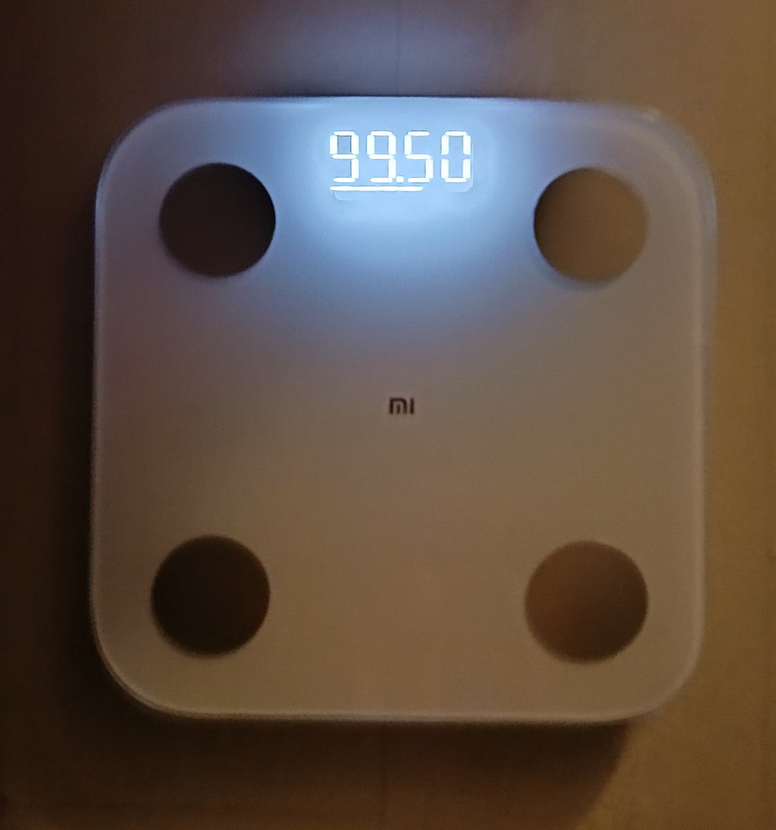 99.5 кг вес на 15.12.2025