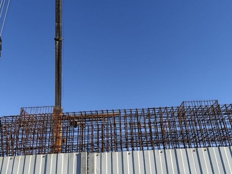     Агропарка постепенно увеличивается с 2024 года. Фото: архив МК в Питере