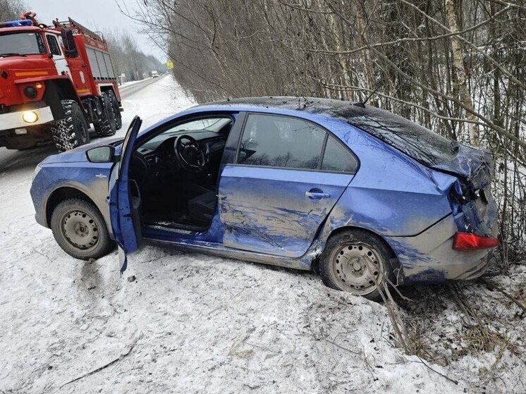     Фото: телеграм-канал ГУ МЧС России по Ленобласти.