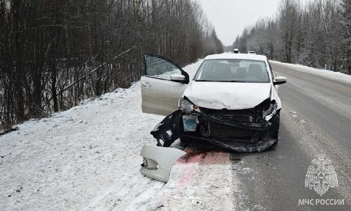     Фото: телеграм-канал ГУ МЧС России по Ленобласти.