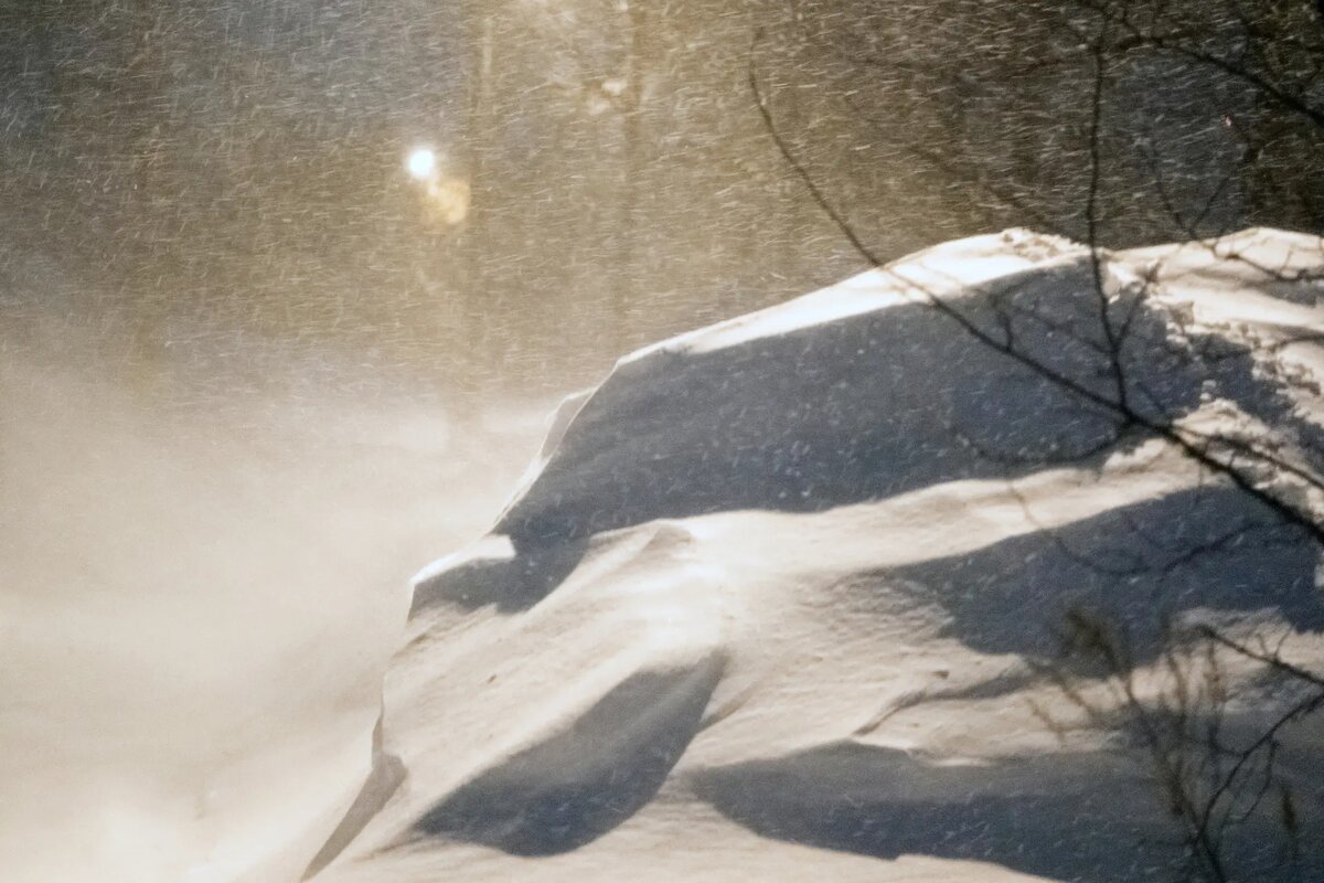     © РИА Новости. Кирилл Ясько