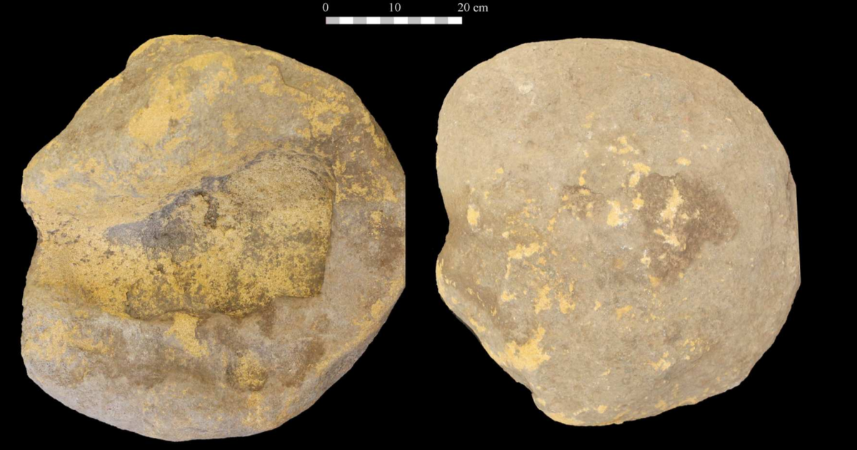   Alfonso Alday et al. / Environmental Archaeology, 2025