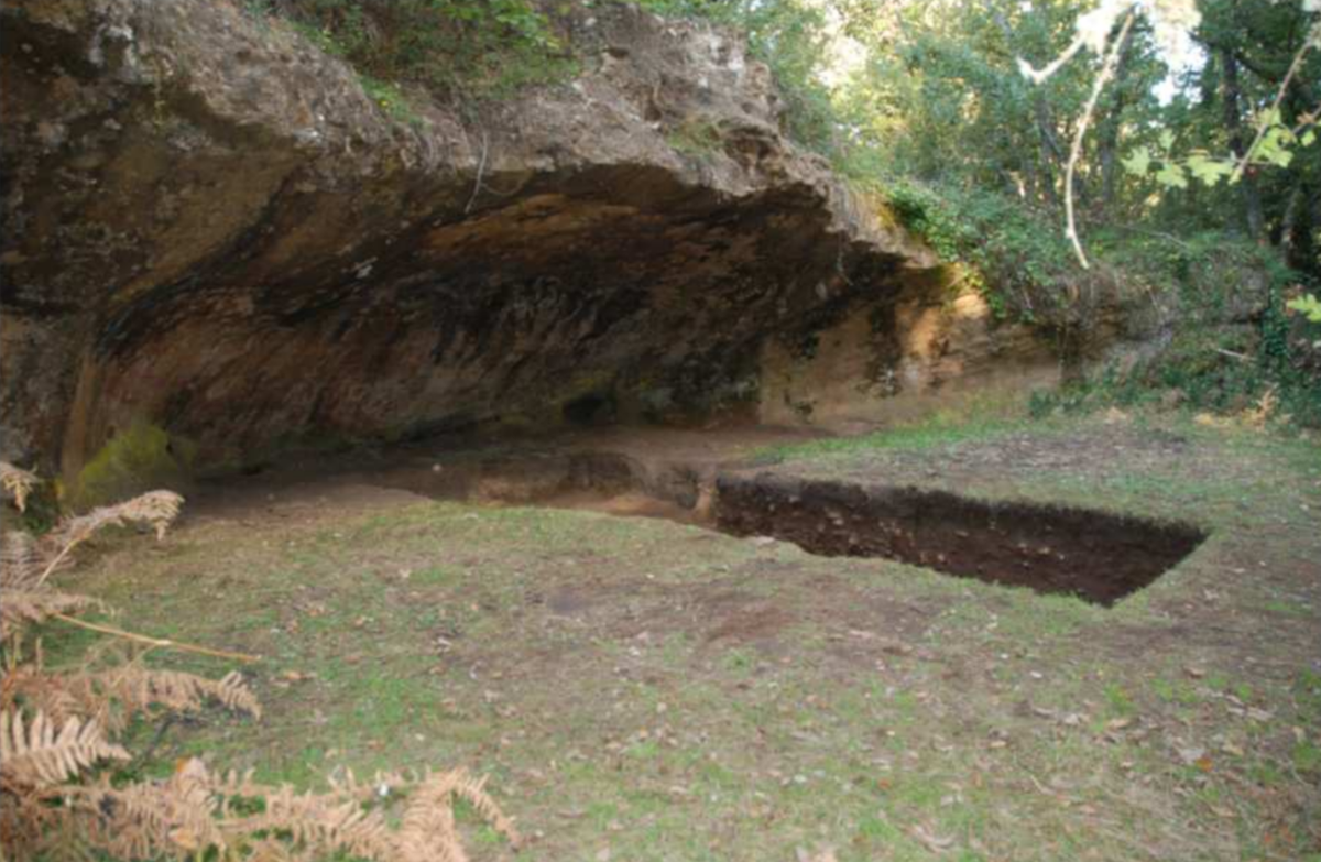   Alfonso Alday et al. / Environmental Archaeology, 2025