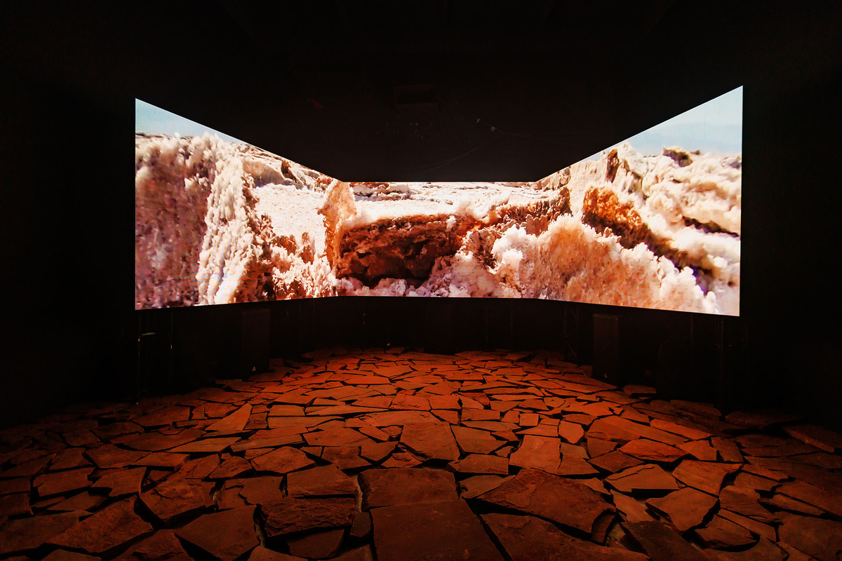    Влад Кульков, Марья Дмитриева, «Открыватели новых земель»