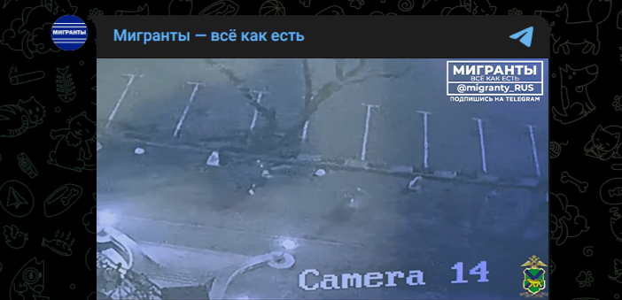 Фото: Telegram-канал "Мигранты - всё как есть"