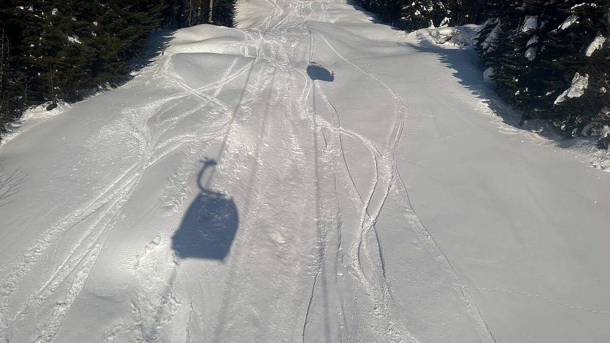    Фото: телеканал «Краснодар»