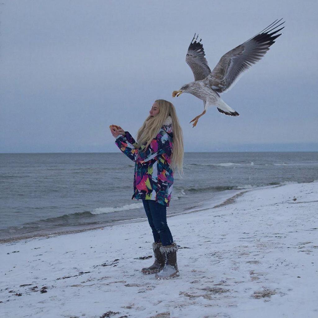 Бабка с утра вышла к морю без особых мыслей. Просто пройтись, подышать, посмотреть на воду. Она сказала, что раньше море успокаивало. Теперь сначала смотришь вверх, потом уже на горизонт. Потому что времена изменились.

Раньше люди боялись собак. Потом начали опасаться друг друга. А теперь появилась новая угроза. Птица. Белая, красивая, с глазами человека, который работает в бухгалтерии и никогда не ошибается. Чайка.

С виду символ свободы. По факту существо, которое давно решило, что берег принадлежит ему. Бабка посмотрела на парапет и сразу поняла, что здесь уже всё поделено. Людям оставили дорожку. Всё остальное под контролем.

Чайка стояла спокойно и наблюдала. Не суетилась. Не кричала. Она просто считала. Кто идёт один. Кто с едой. Кто смотрит в телефон. Кто без кепки. Бабка сказала, что чайка никогда не действует без оценки. У неё нет спонтанности. У неё стратегия.

Люди думают, что чайки нападают без причины. Бабка только усмехнулась. Без причины они не летают. Чайка сначала смотрит, потом выбирает, потом ждёт момент. Если ты расслабился, внушительный всё. Ты уже часть её плана.

Особенно наглыми чайки становятся в курортный сезон. Людей много, у всех в руках еда.
В период гнездования они вообще не считают нужным скрывать намерения. А если у человека в руках картошка или булка, он для чайки выглядит как приглашение.

Бабка сказала, что иногда птице даже не важна еда. Ей важно показать, кто здесь главный. Кто устанавливает правила. Кто решает, можно ли тебе спокойно дойти до лавочки.

На днях на Сахалине чайка напала на стримершу во время съёмки. Бабка прочитала новость и сказала, что это вовсе не агрессия. Это подозрения. Пока человек собирает просмотры, птица остаётся без внимания. Чайка просто решила напомнить о себе.

Бабка вздохнула и добавила, что мир сильно изменился. Теперь даже птицы понимают, что внимание это ресурс. И за него надо бороться.