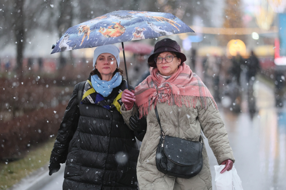    Алексей Белкин/NEWS.ru