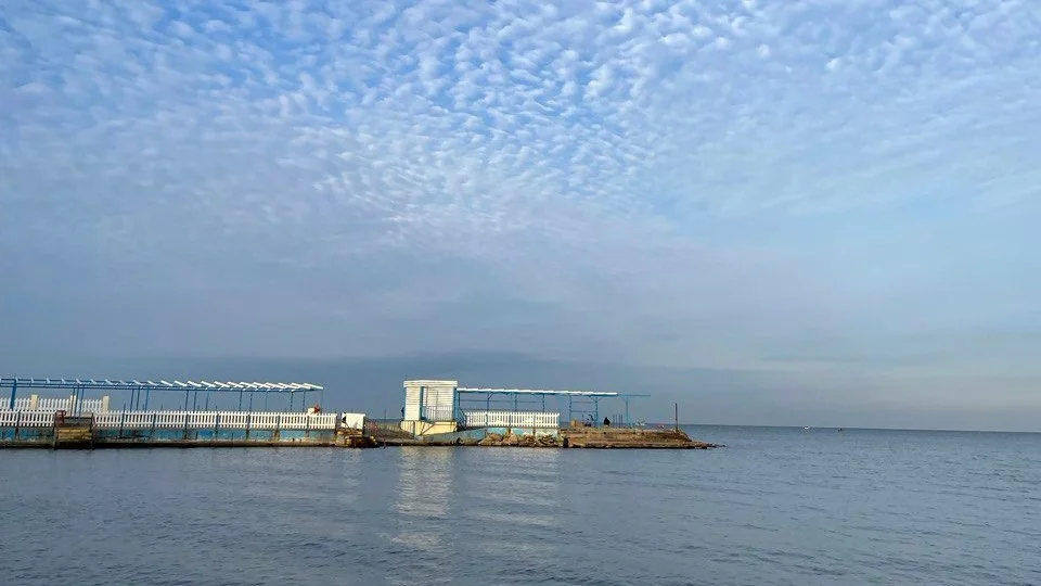 Экосистема восстанавливается, бизнес ждет сезона: год после разлива мазута в Керченском проливе