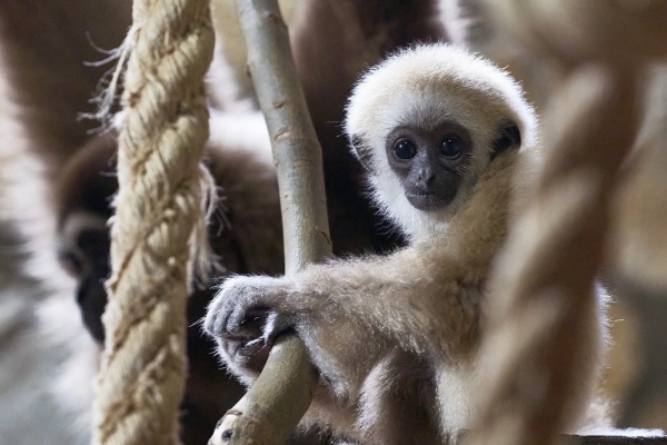 Фото: РИА Новости/Алексей Даничев
