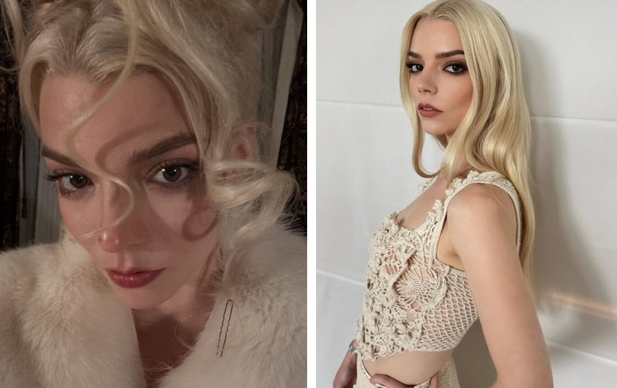    Фото: соцсети