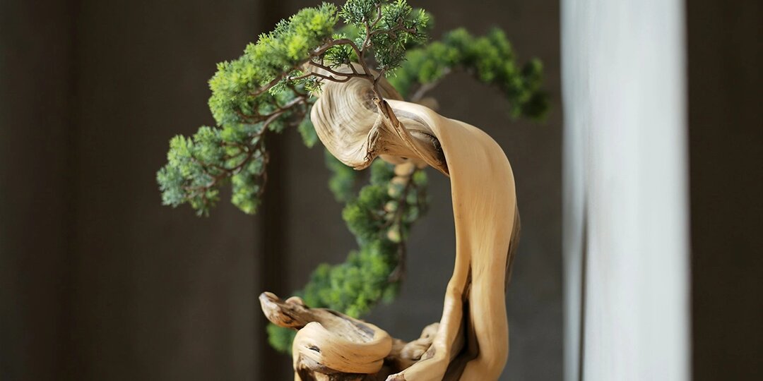 Тренды фитодизайна: как интегрировать растения в интерьер