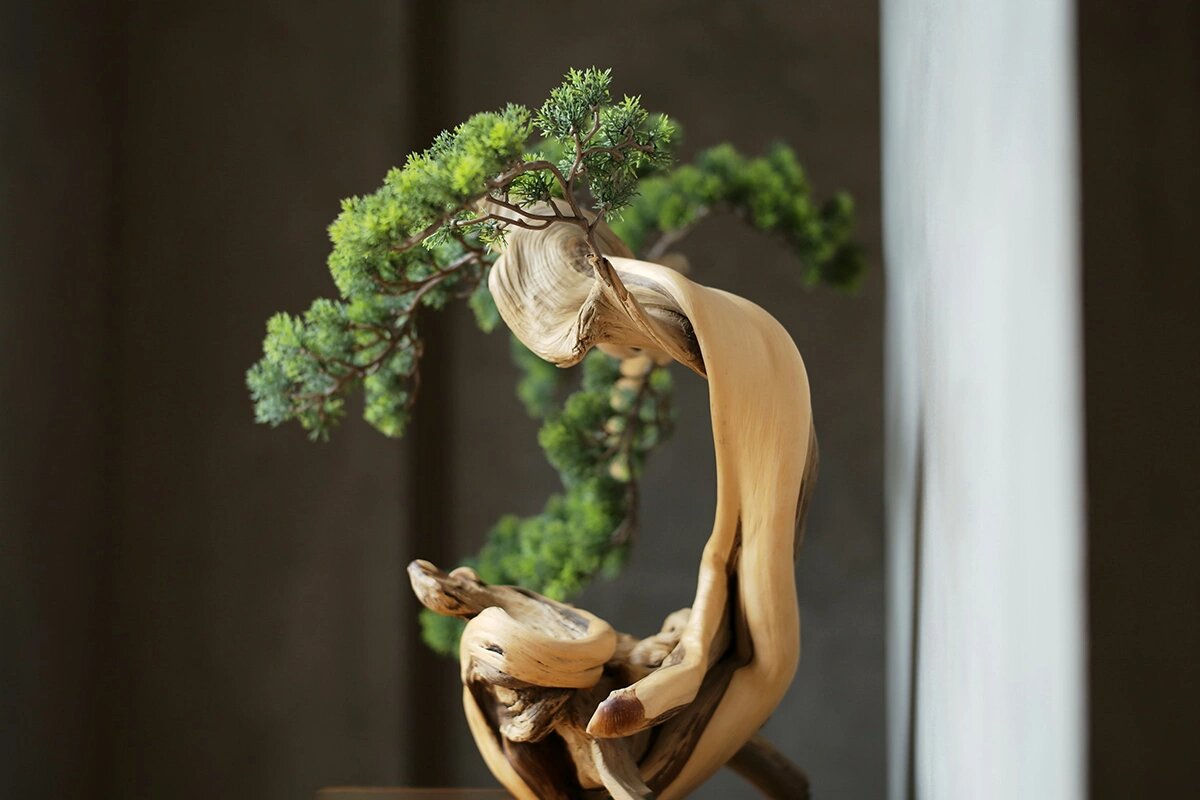 Фото: yanmin yang / Unsplash