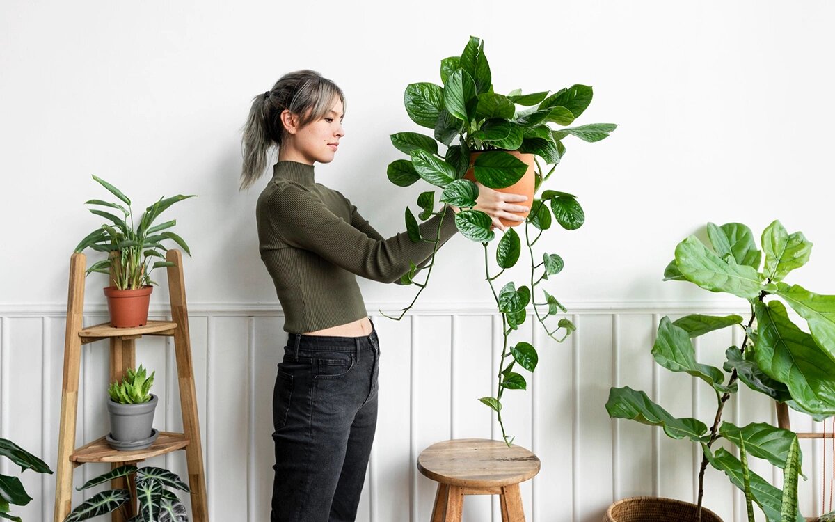 Фото: rawpixel.com / Designed by freepik