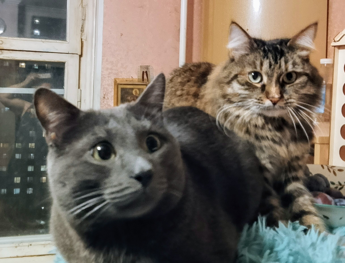 Силя с Лизой не верят тоже