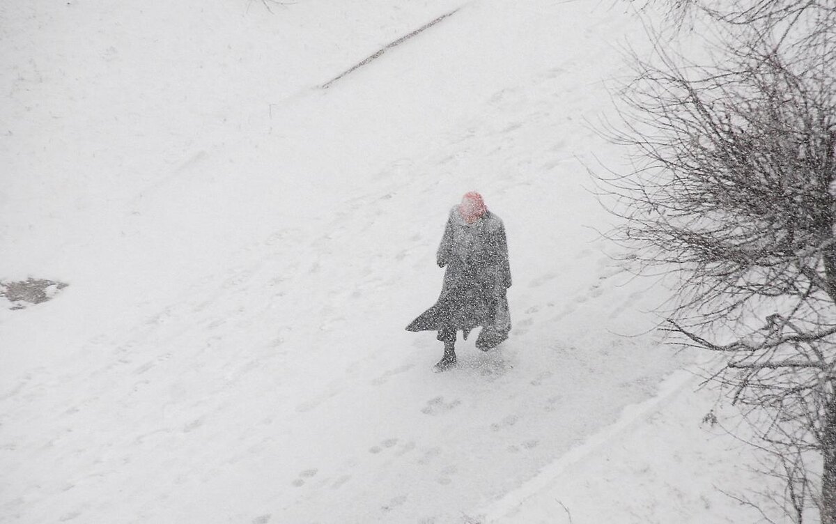    Месячная норма осадков выпала за 5 дней в Ижевске