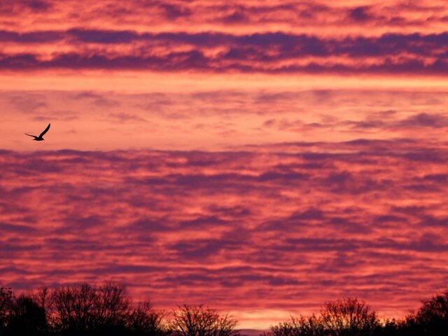    Фото: ТАСС/EPA/CLEMENS BILAN